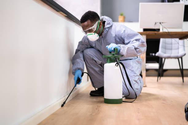 Professional Pest Control in Fowlerville, MI